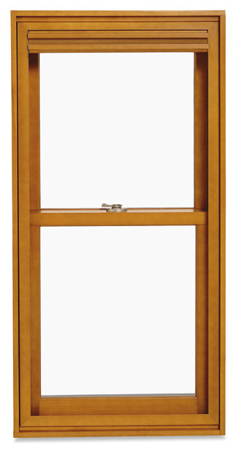Marvin Double Hung Window