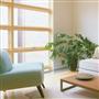 Custom Casement Windows