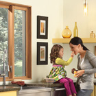 Replacement Glider Windows