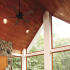 Replacement Special Shaped Windows
