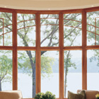 Replacement Special Shaped Windows