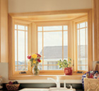 Infinity Replacement Windows by Marvin